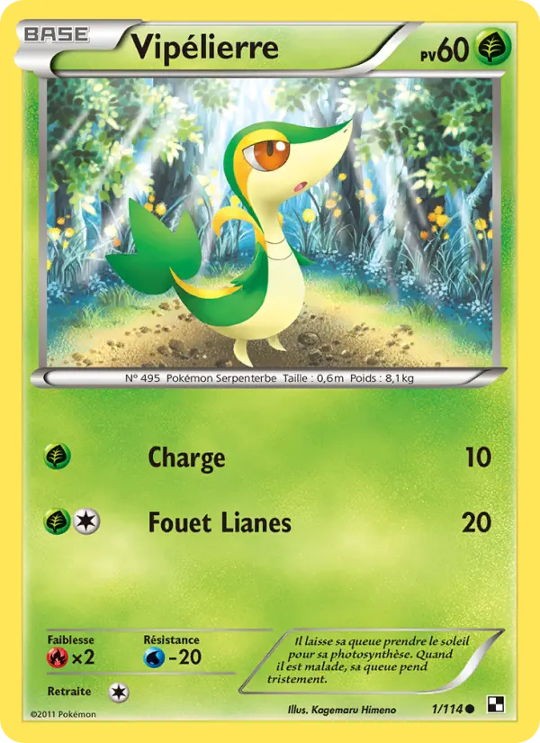 Vipélierre – carte Pokémon TCG Commune n°1