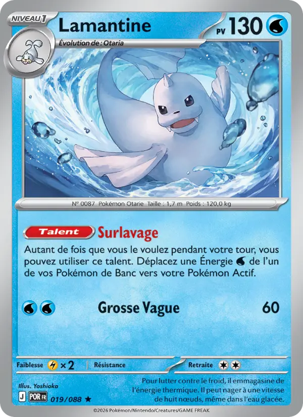Lamantine – carte Pokémon TCG Rare n°019