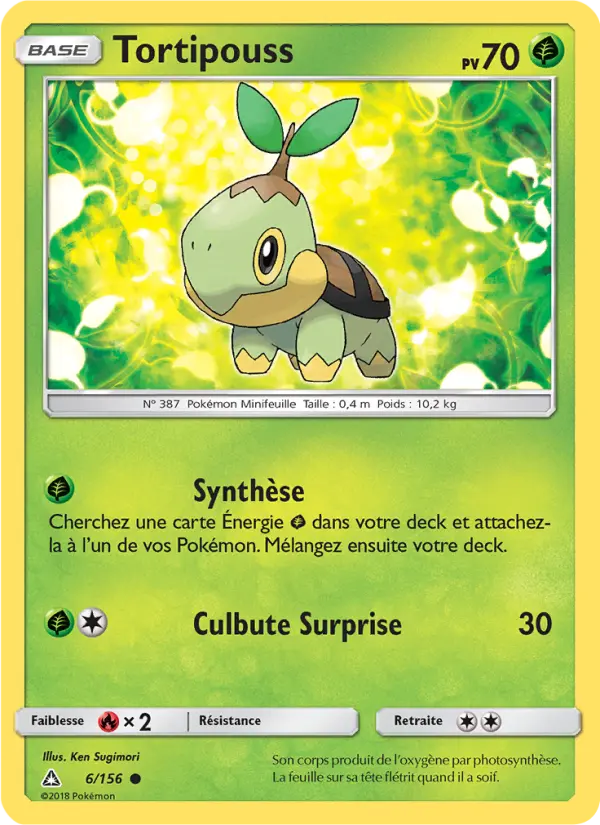 Tortipouss – carte Pokémon TCG Commune n°6