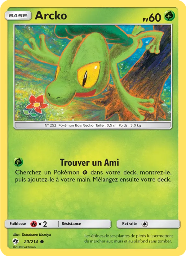 Arcko – carte Pokémon TCG Commune n°20