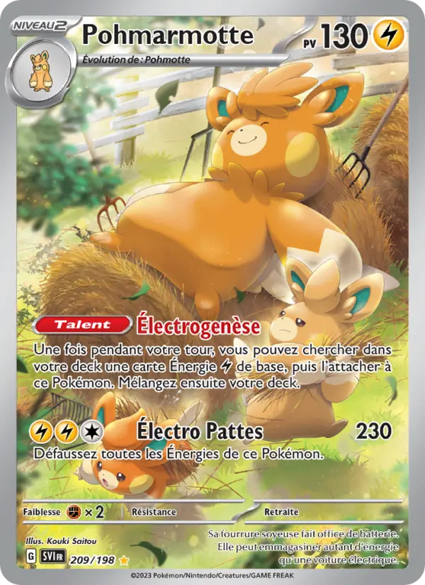 Pohmarmotte – carte Pokémon TCG Illustration rare n°209