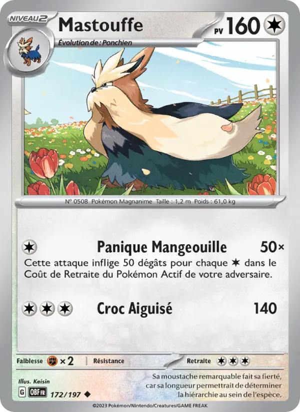 Mastouffe – carte Pokémon TCG Peu Commune n°172