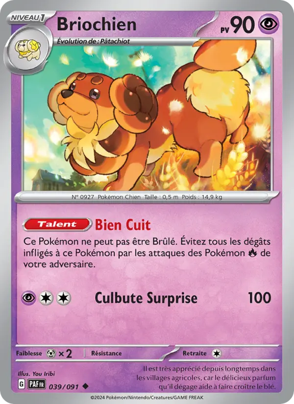 Briochien – carte Pokémon TCG Peu Commune n°039