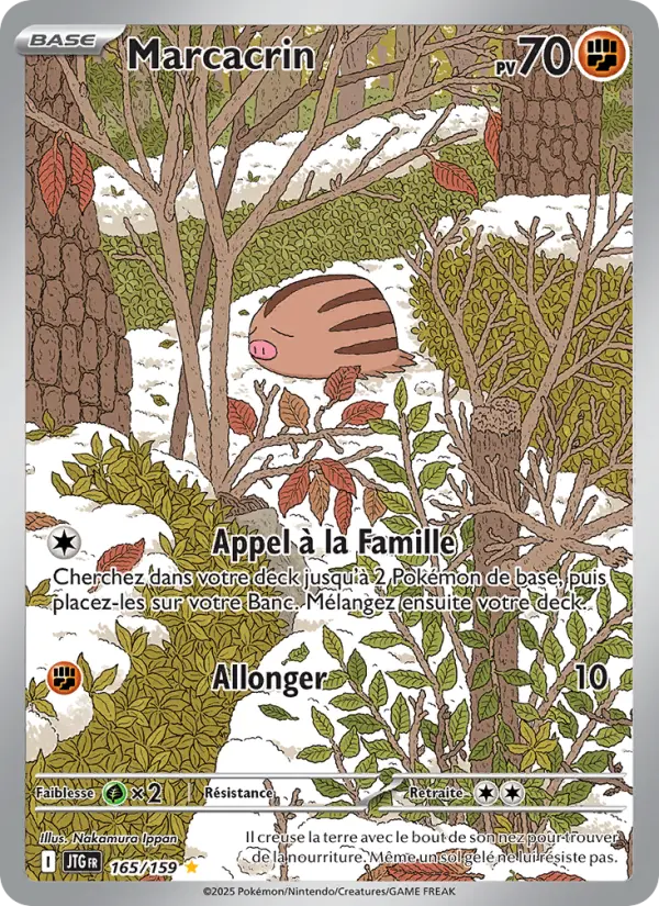 Marcacrin – carte Pokémon TCG Illustration rare n°165