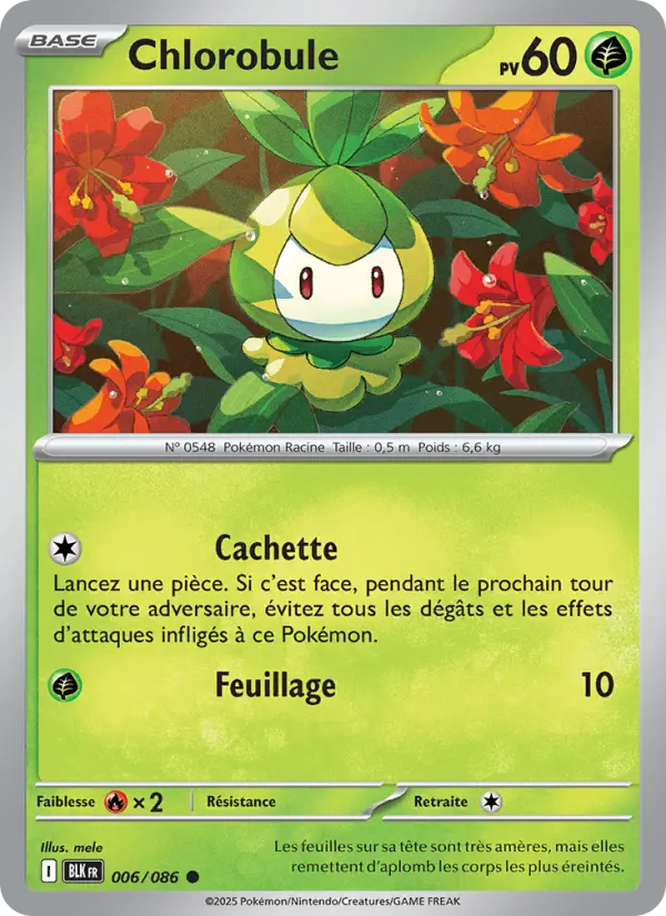 Chlorobule – carte Pokémon TCG Commune n°006