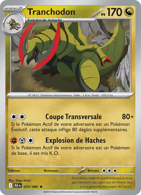 Tranchodon – carte Pokémon TCG Rare n°070