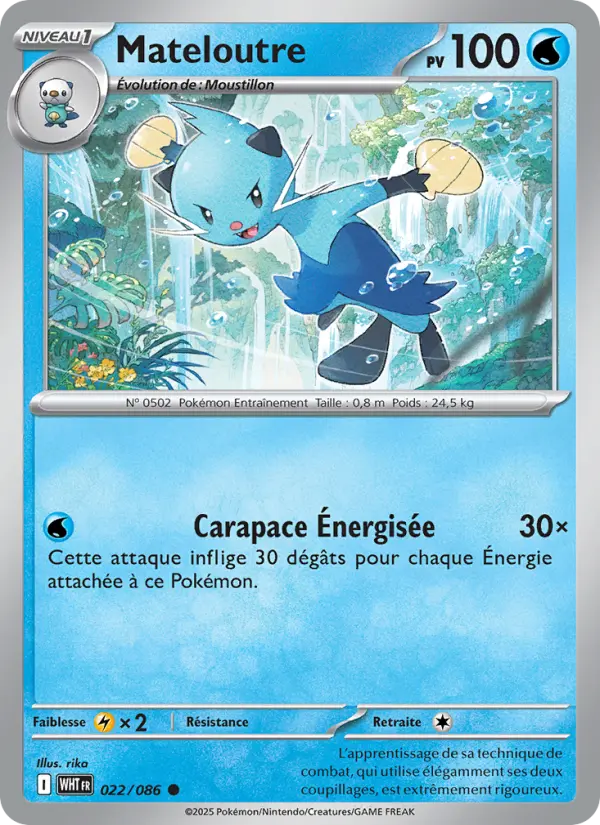 Mateloutre – carte Pokémon TCG Commune n°022