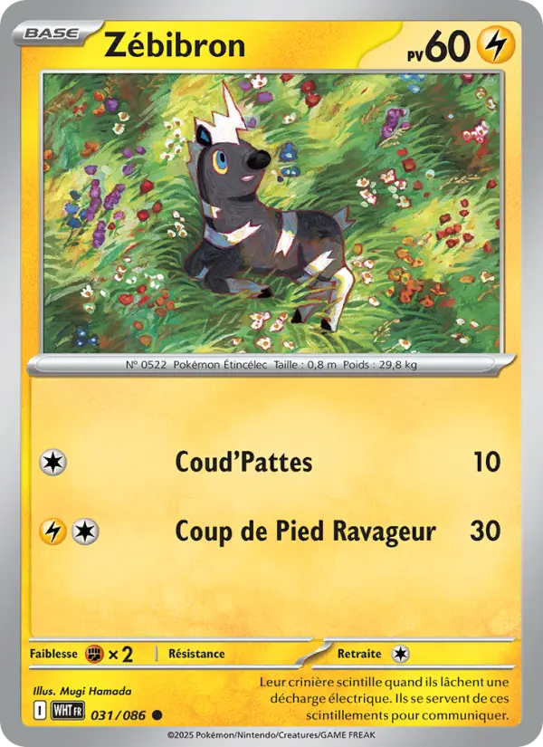 Zébibron – carte Pokémon TCG Commune n°031