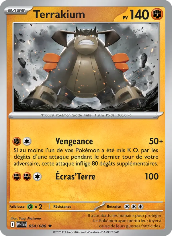 Terrakium – carte Pokémon TCG Rare n°054