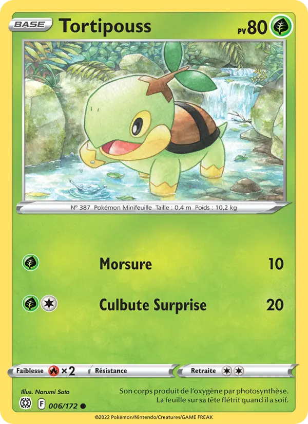 Tortipouss – carte Pokémon TCG Commune n°006